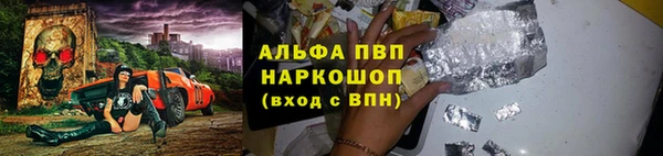 прущие грибы Армянск