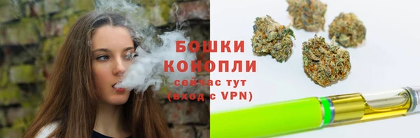 прущие грибы Армянск