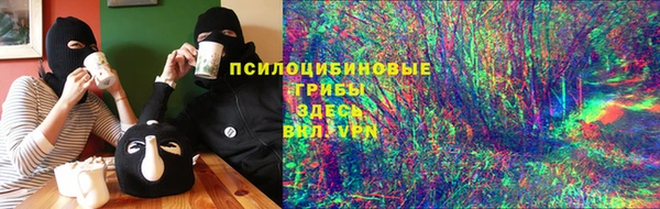 прущие грибы Армянск