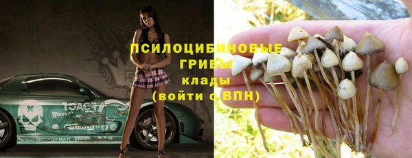прущие грибы Армянск