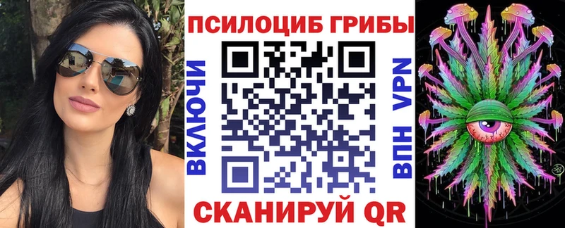 купить закладку  Николаевск  Псилоцибиновые грибы прущие грибы 