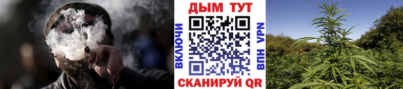 где найти   Николаевск  Бошки марихуана White Widow 